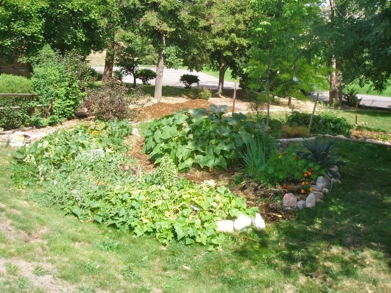 Backyard Revolutions - Photo 4