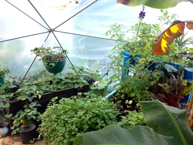 Backyard Revolutions - Photo 10