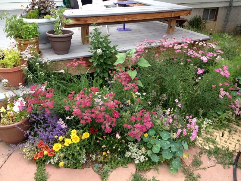 Backyard Revolutions - Photo 8