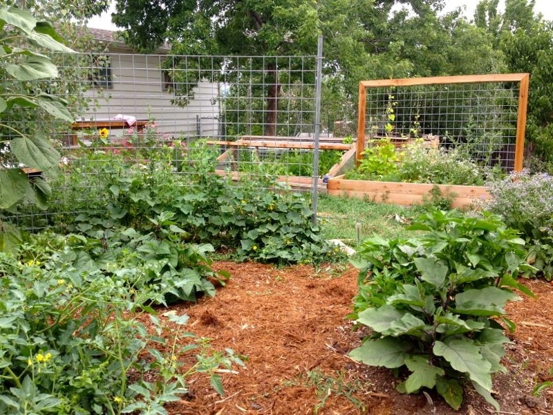Backyard Revolutions - Photo 7