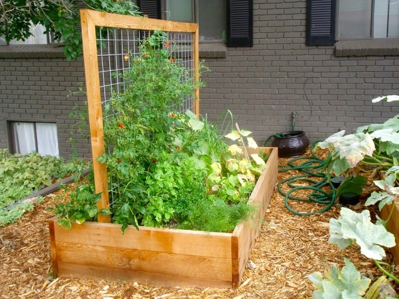 Backyard Revolutions - Photo 6