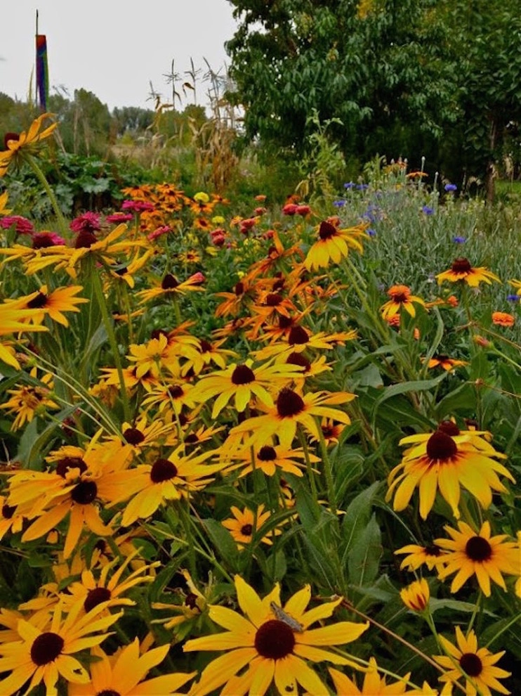 Backyard Revolutions - Photo 12