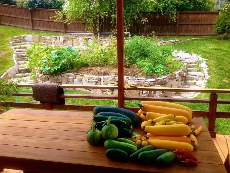 Backyard Revolutions - Photo 11