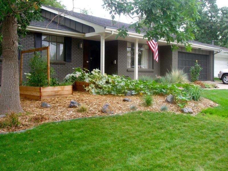 Backyard Revolutions - Photo 9