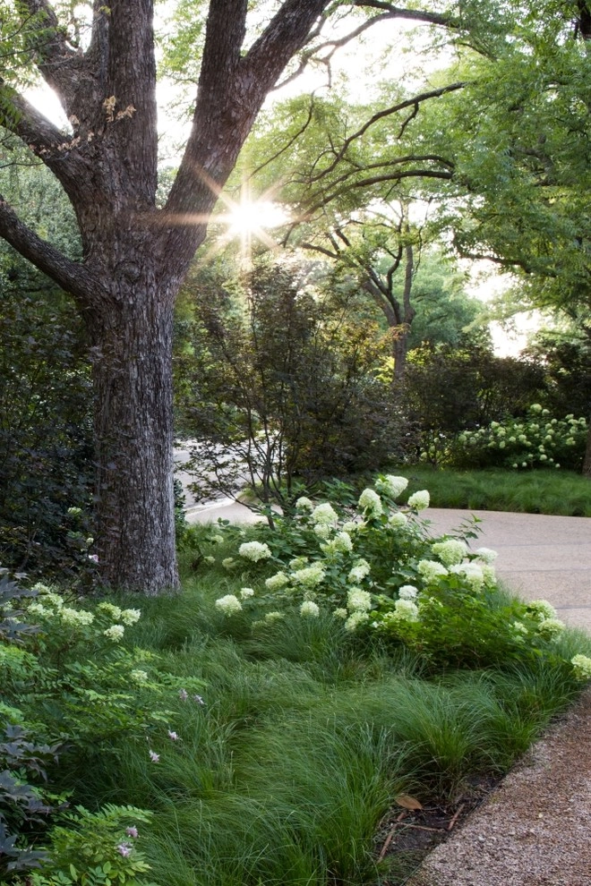Studio Outside Landscape Architects - Photo 12