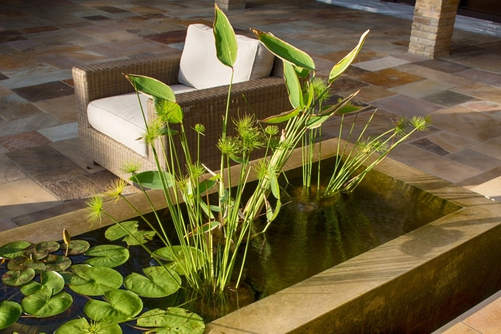 Midcentury Creekside by Studio Outside Landscape Architects - Photo 6