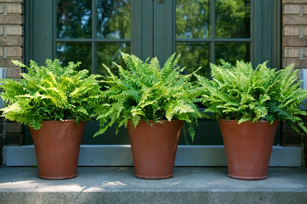 CUSTOM CONTAINERS by Sundown Gardens - Photo 5