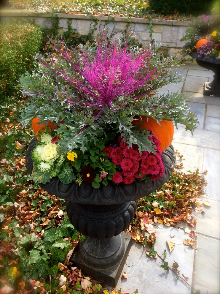 Sundown Gardens - Photo 9