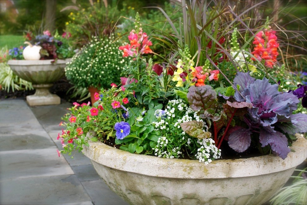 CUSTOM CONTAINERS by Sundown Gardens - Photo 3