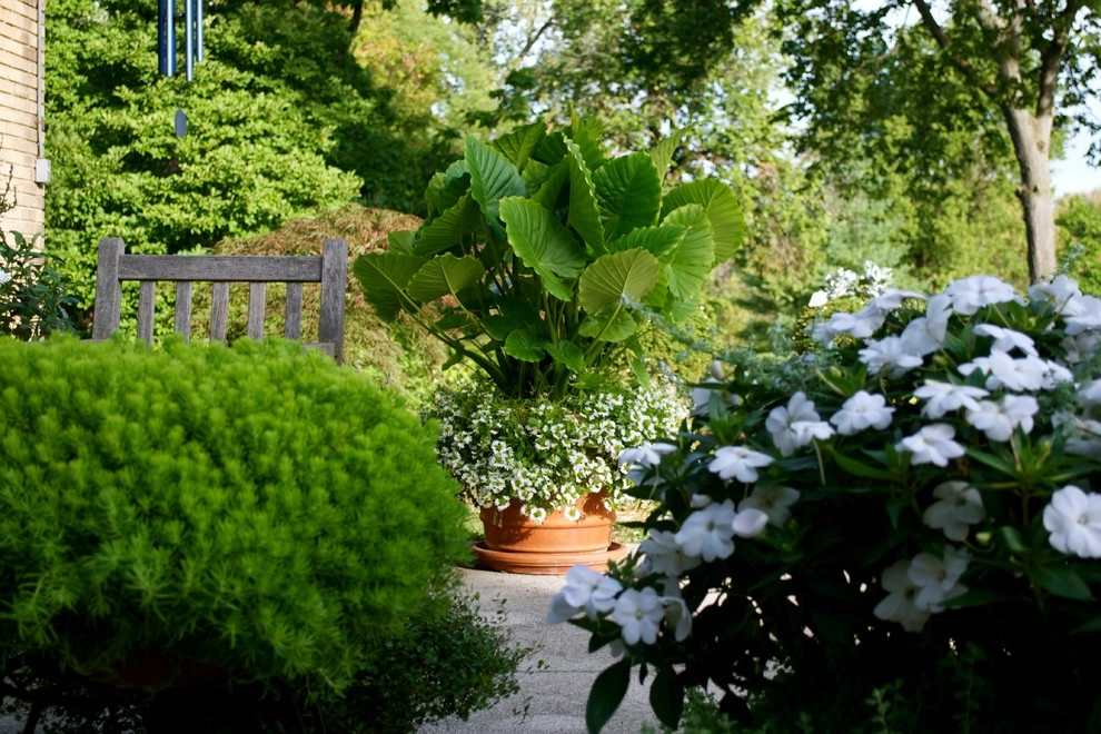 Sundown Gardens - Photo 10