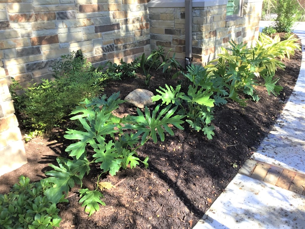 Complete Design, Clearing, Irrigation, Landscaping, and Sod by Sunrise Landscapes - Photo 5