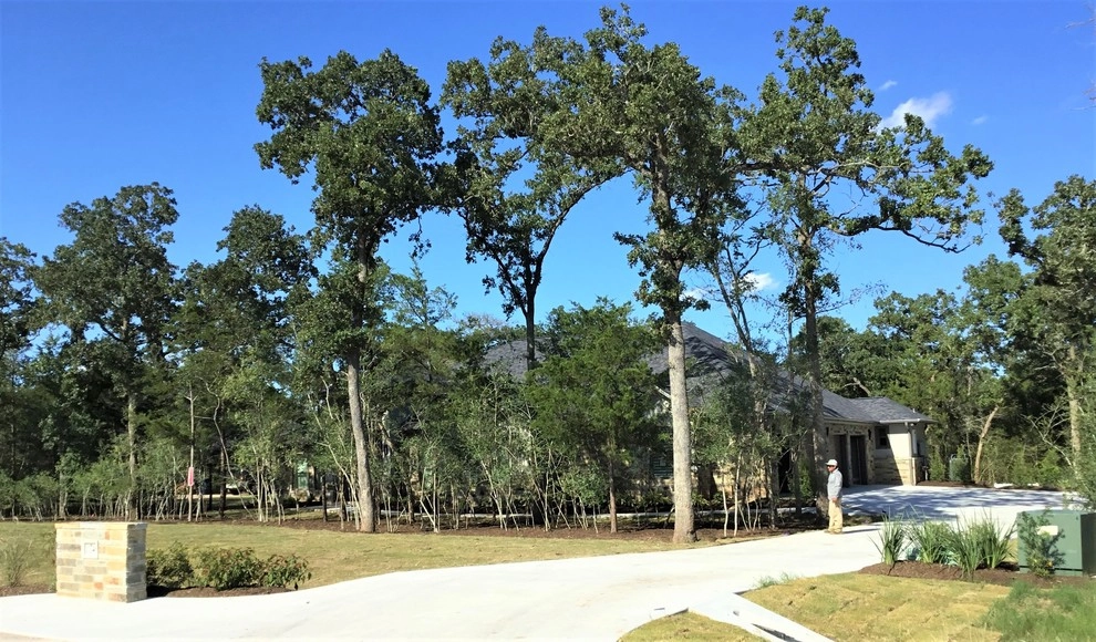 Complete Design, Clearing, Irrigation, Landscaping, and Sod by Sunrise Landscapes - Photo 6