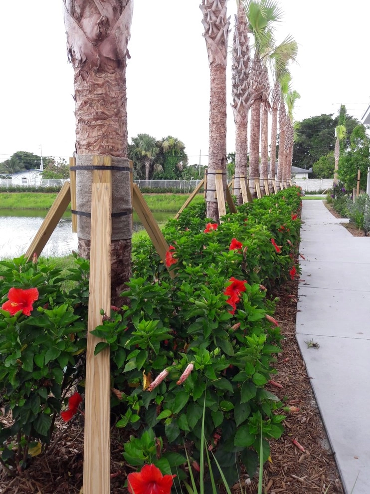 Broward County: Oakland by Sunset Gardens Inc. - Photo 17