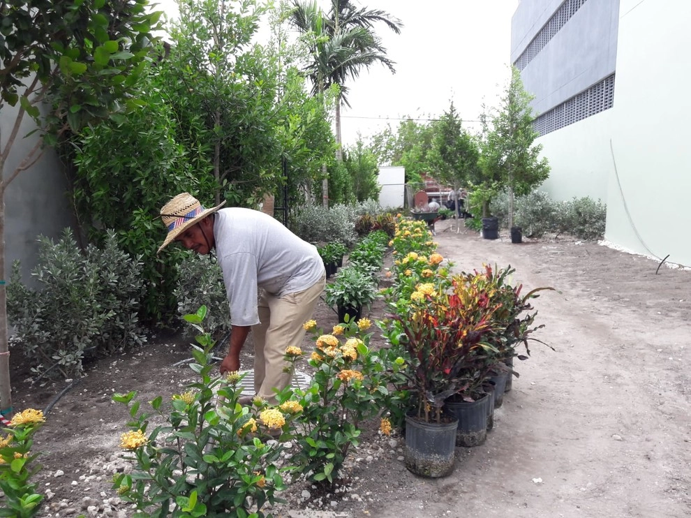 Near MIA by Sunset Gardens Inc. - Photo 19