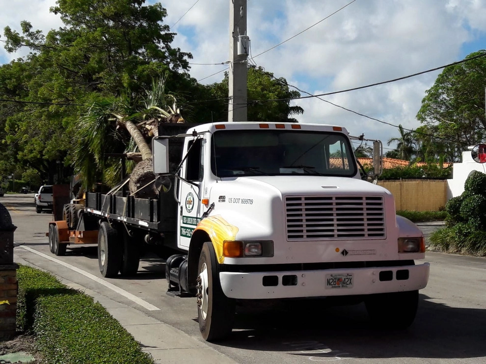 Miami Beach by Sunset Gardens Inc. - Photo 4