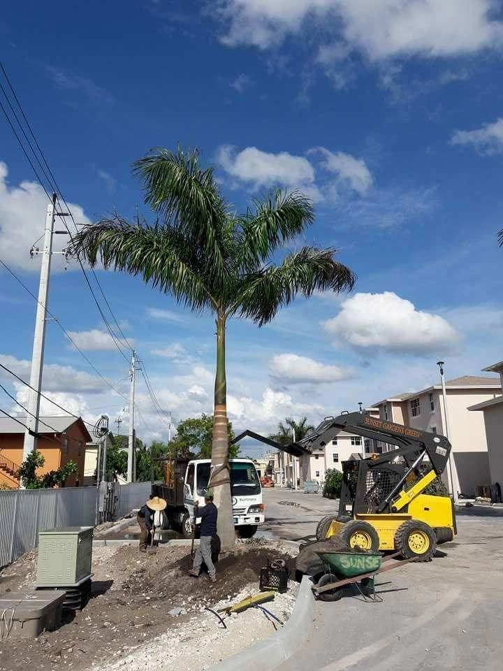 Broward County: Oakland by Sunset Gardens Inc. - Photo 10