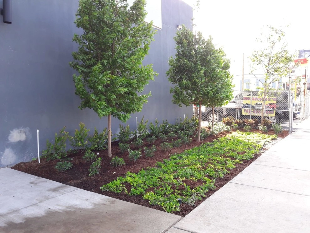 Near MIA by Sunset Gardens Inc. - Photo 16