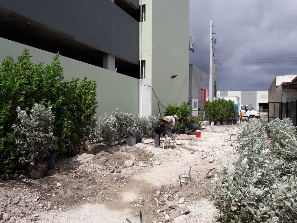Near MIA by Sunset Gardens Inc. - Photo 5