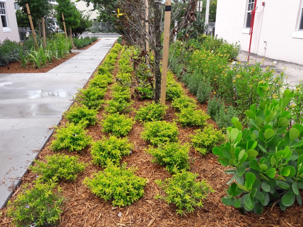Broward County: Oakland by Sunset Gardens Inc. - Photo 4