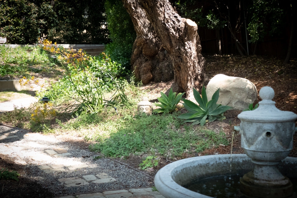 San Marcos Going Wild by Sweet Smiling Landscapes - Photo 3