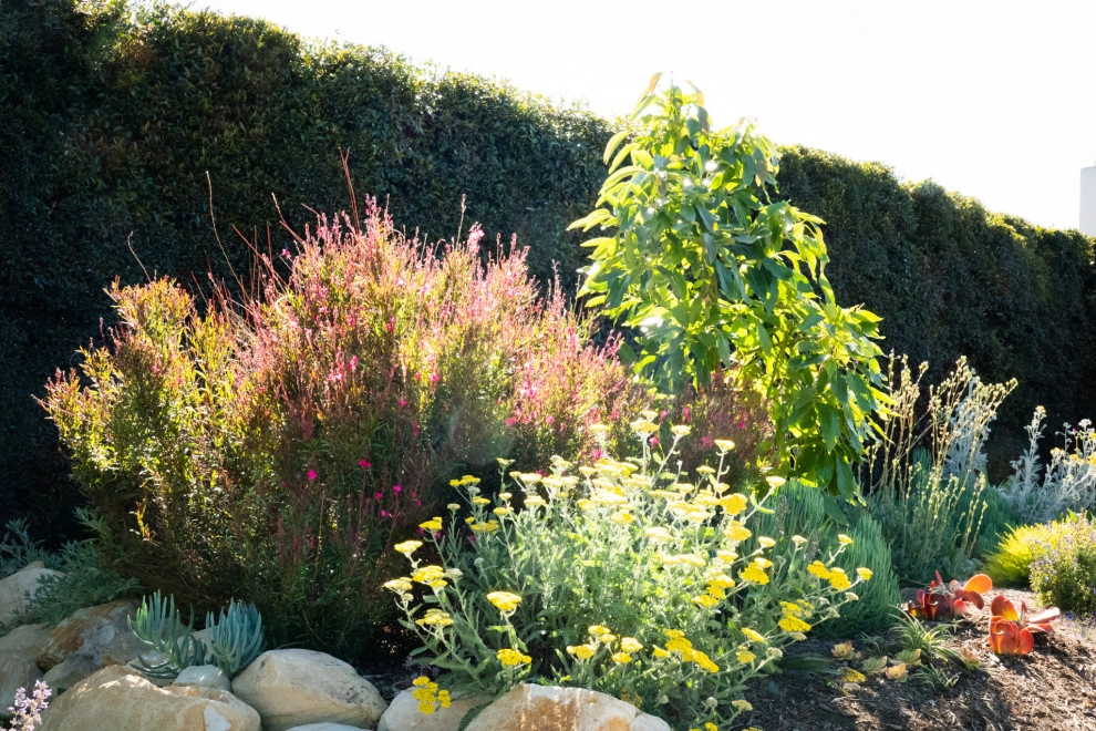 Midcentury Rustic by Sweet Smiling Landscapes - Photo 14