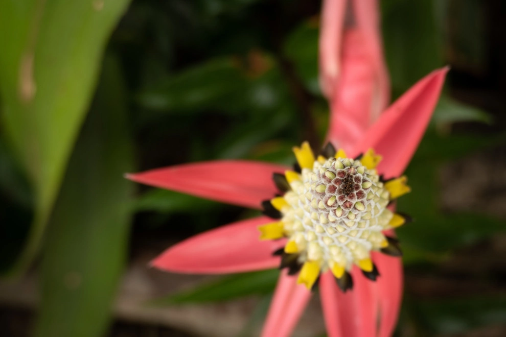 Willetta Ave. by Sweet Smiling Landscapes - Photo 20