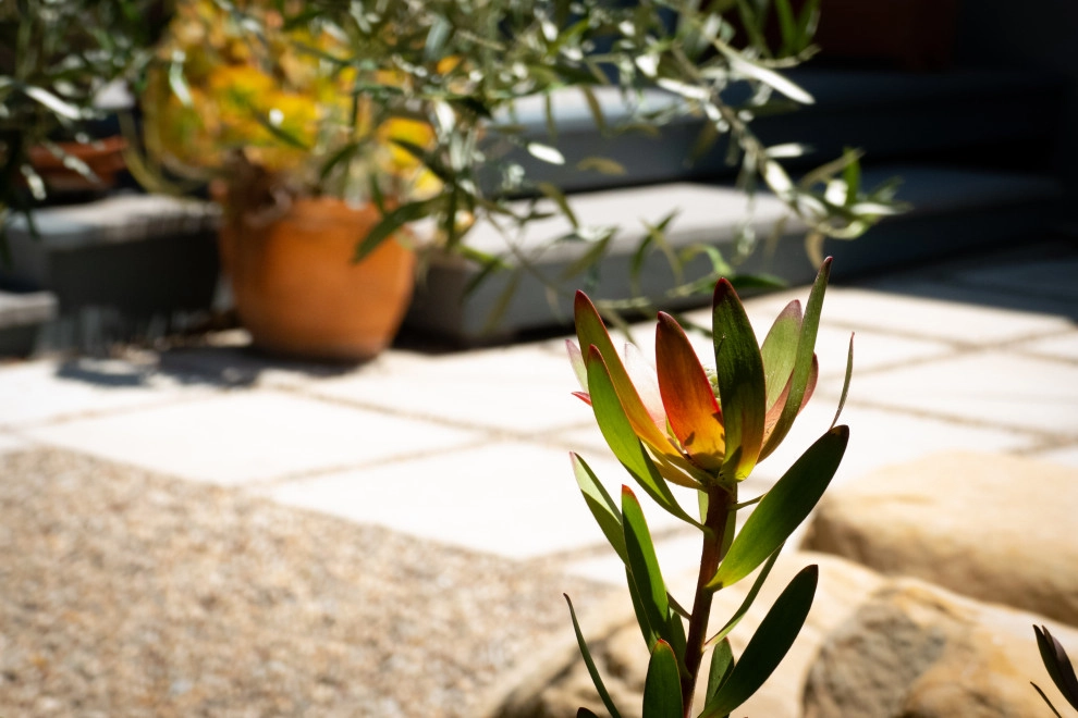 Modern Retreat by Sweet Smiling Landscapes - Photo 4