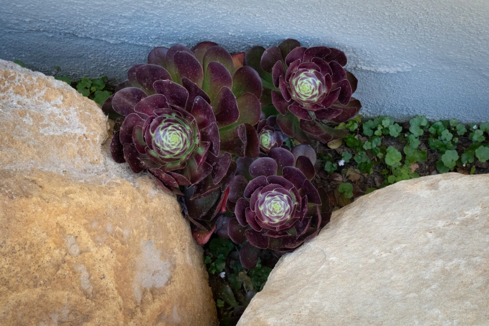Modern Retreat by Sweet Smiling Landscapes - Photo 13