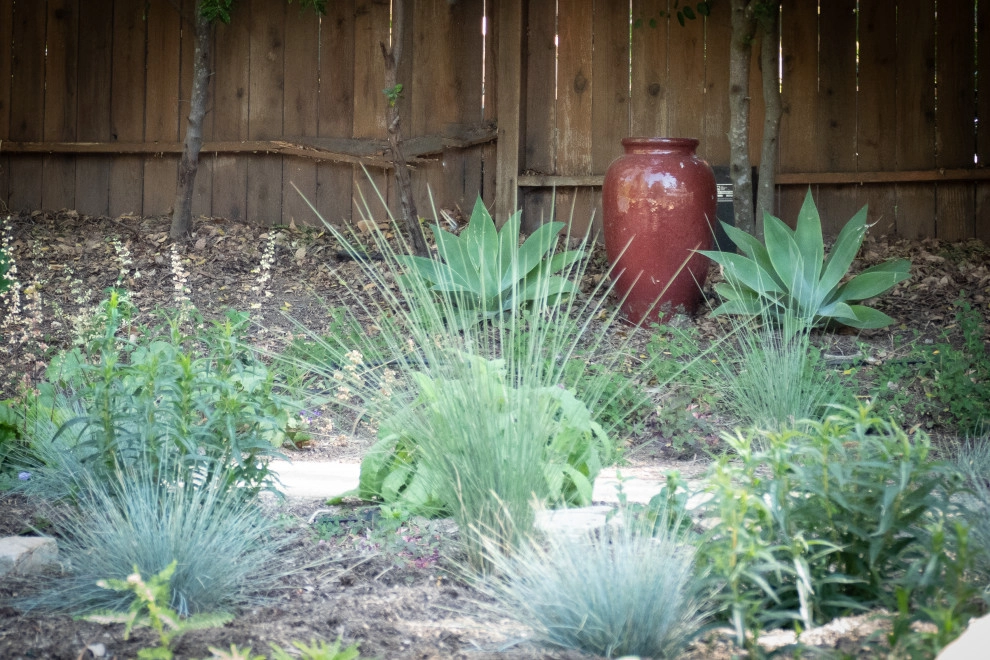 San Marcos Going Wild by Sweet Smiling Landscapes - Photo 6