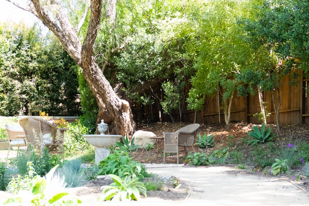 San Marcos Going Wild by Sweet Smiling Landscapes - Photo 5