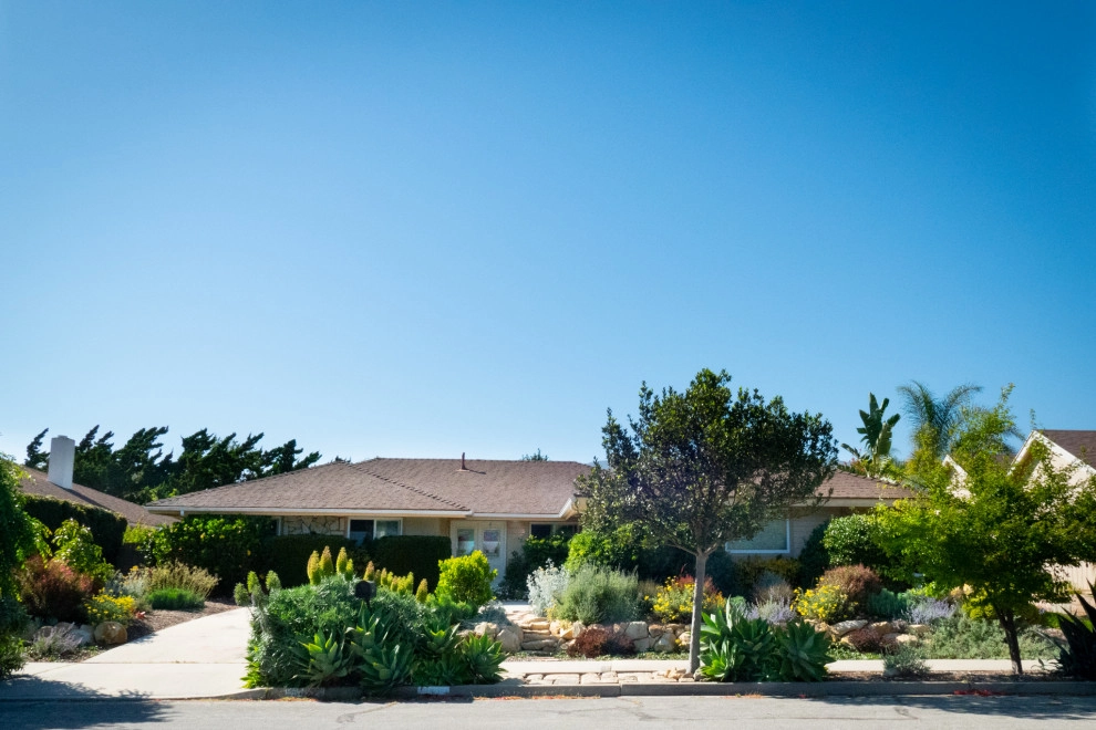 Midcentury Rustic by Sweet Smiling Landscapes - Photo 9