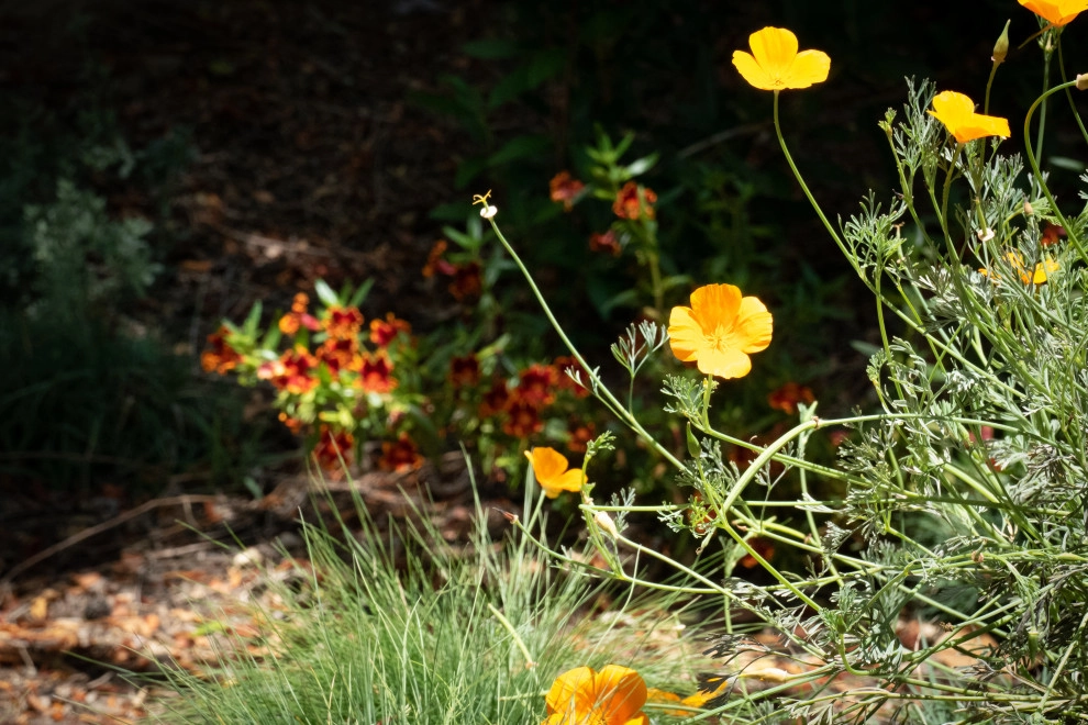 Native Fun by Sweet Smiling Landscapes - Photo 8