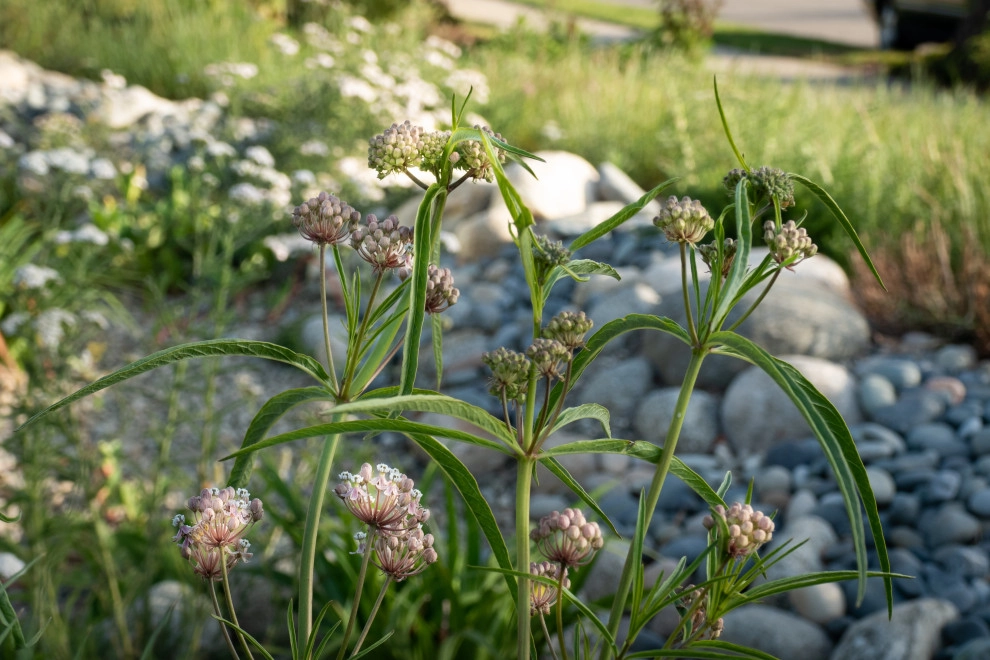 Tuolumne by Sweet Smiling Landscapes - Photo 23