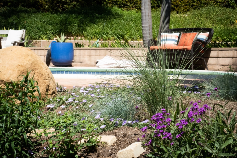San Marcos Going Wild by Sweet Smiling Landscapes - Photo 4