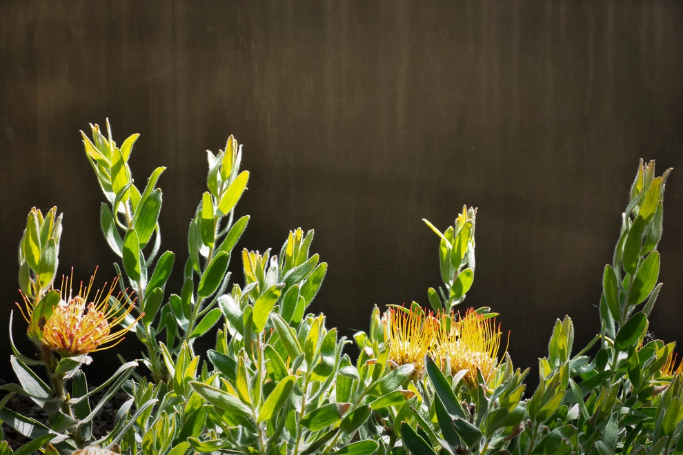 Modern Retreat by Sweet Smiling Landscapes - Photo 5