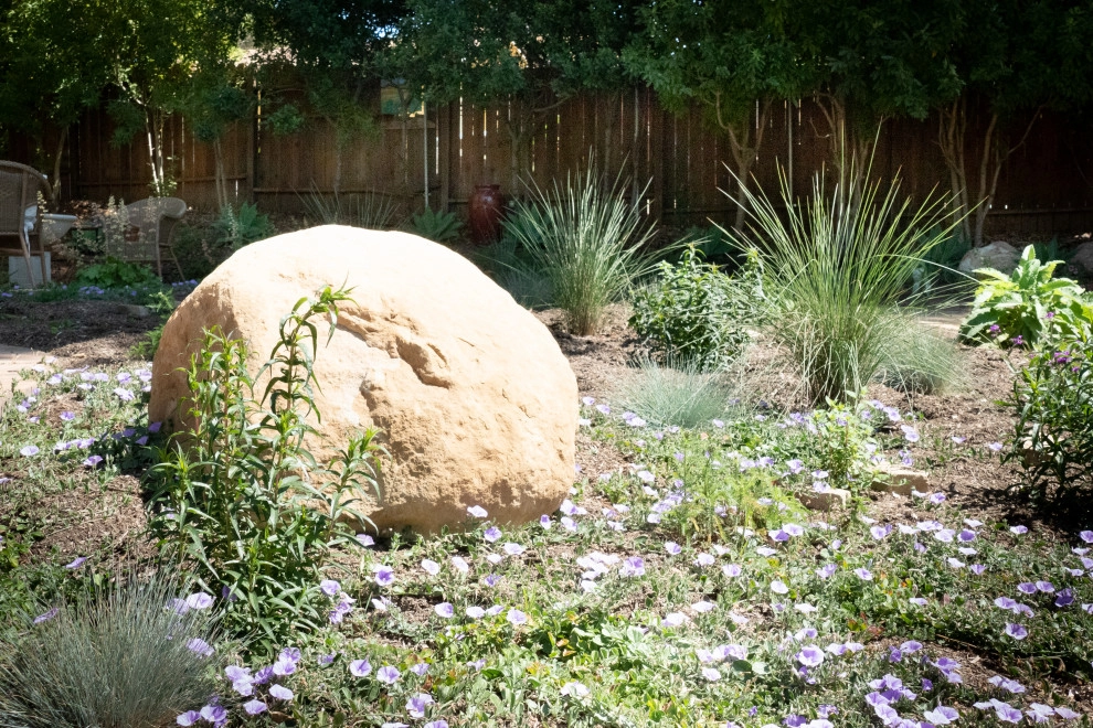 San Marcos Going Wild by Sweet Smiling Landscapes - Photo 2