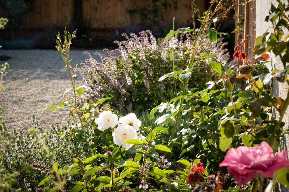 Contemporary Food Forest by Sweet Smiling Landscapes - Photo 6
