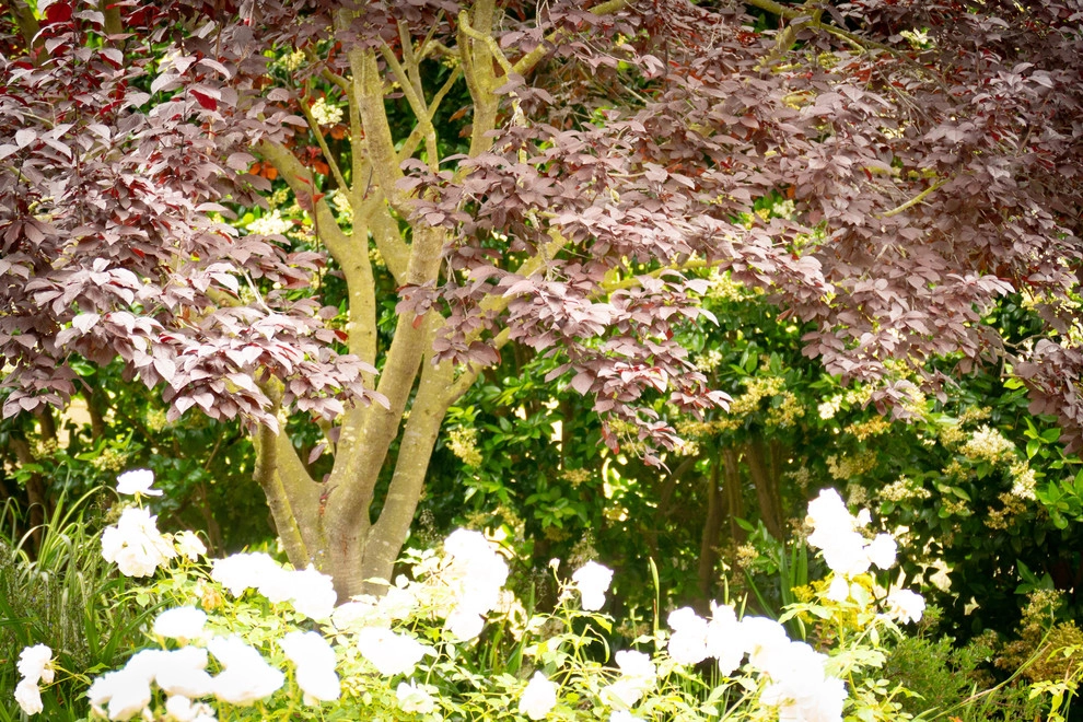 Woodland by Sweet Smiling Landscapes - Photo 5