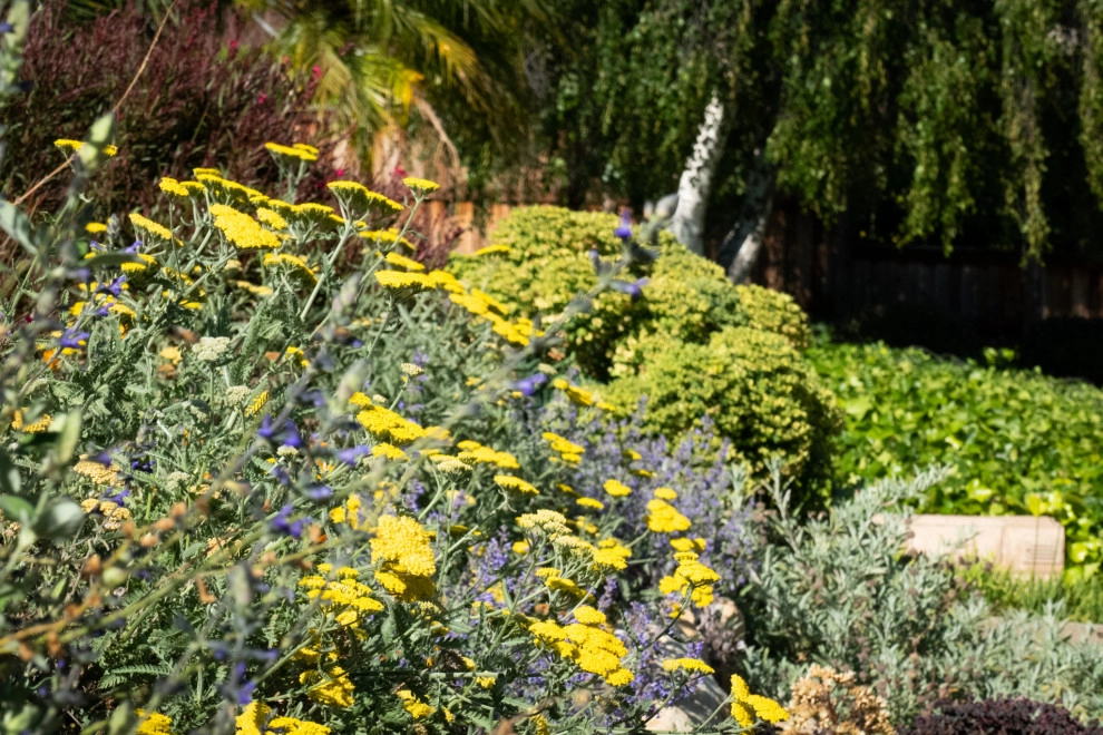Midcentury Rustic by Sweet Smiling Landscapes - Photo 11