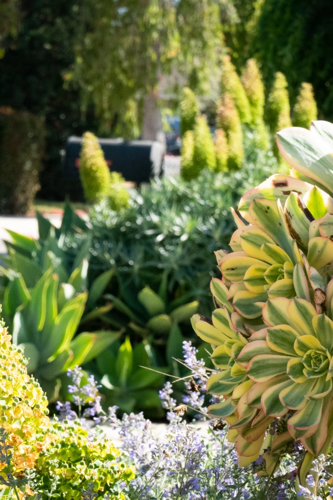Midcentury Rustic by Sweet Smiling Landscapes - Photo 12