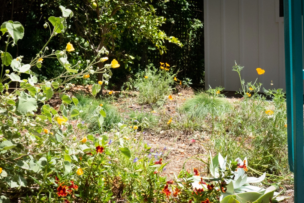 Native Fun by Sweet Smiling Landscapes - Photo 2