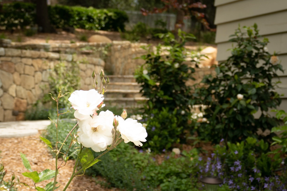 California Cottage by Sweet Smiling Landscapes - Photo 4