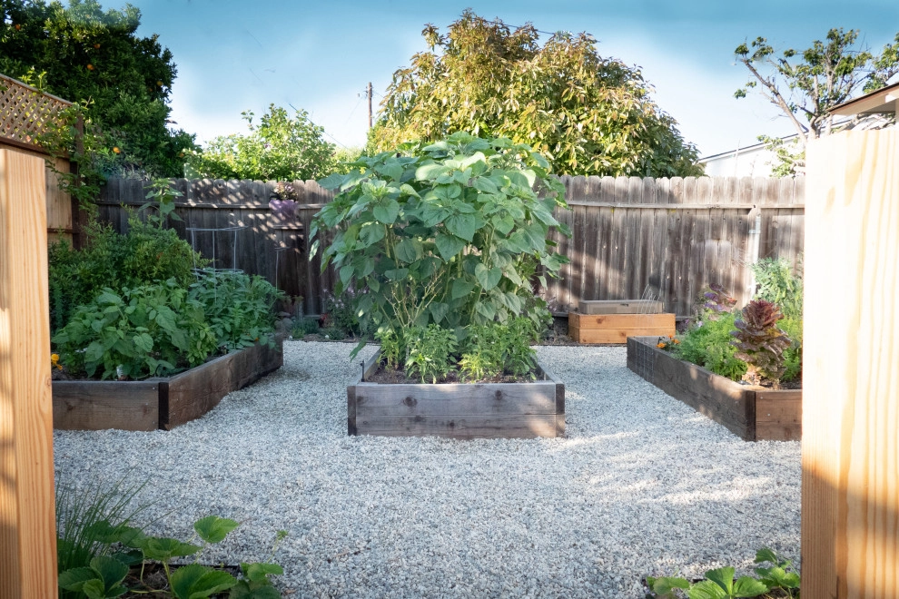 Contemporary Food Forest by Sweet Smiling Landscapes - Photo 2