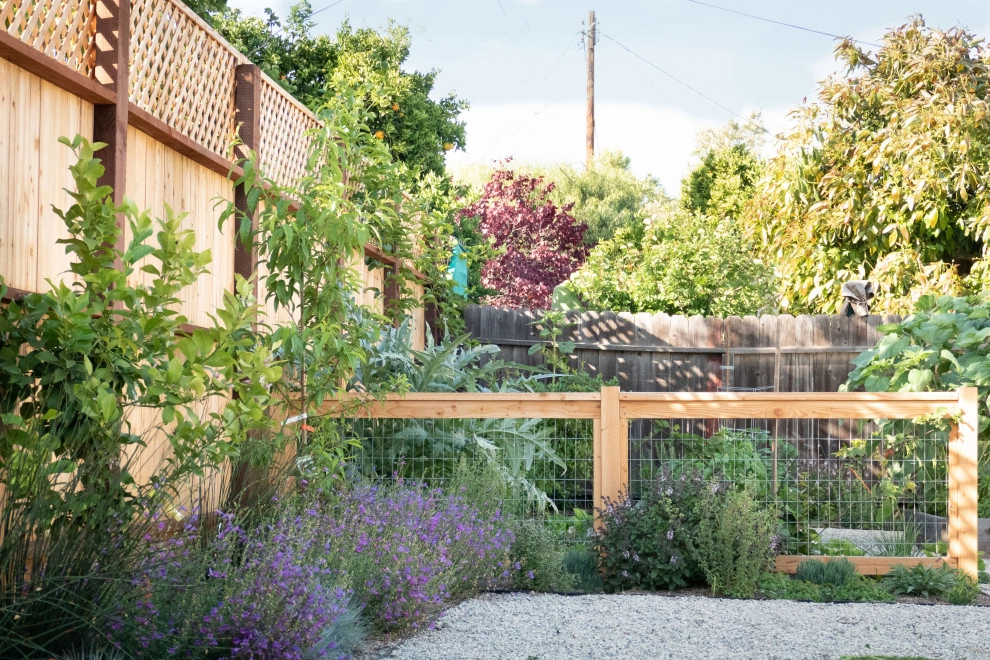 Contemporary Food Forest by Sweet Smiling Landscapes - Photo 5