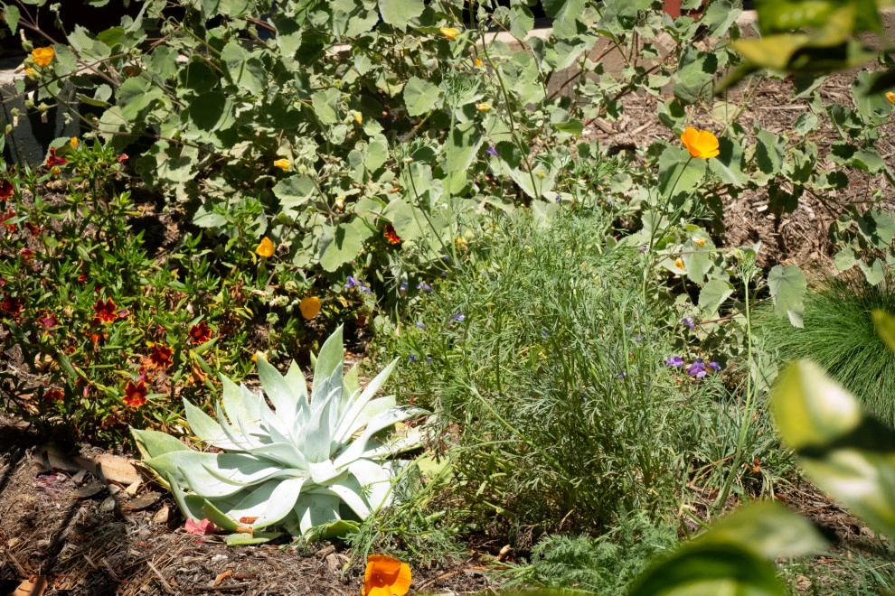 Native Fun by Sweet Smiling Landscapes - Photo 5