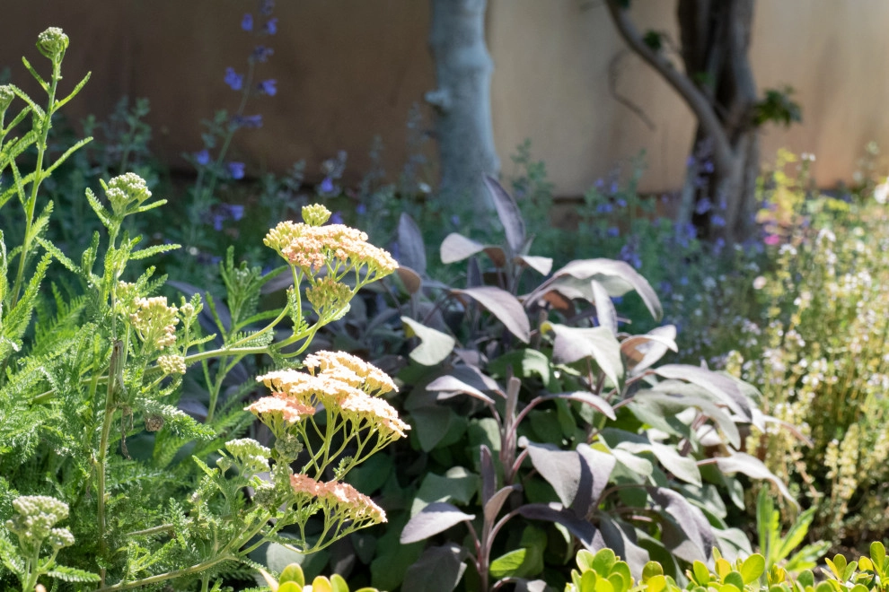Provence comes to California by Sweet Smiling Landscapes - Photo 23