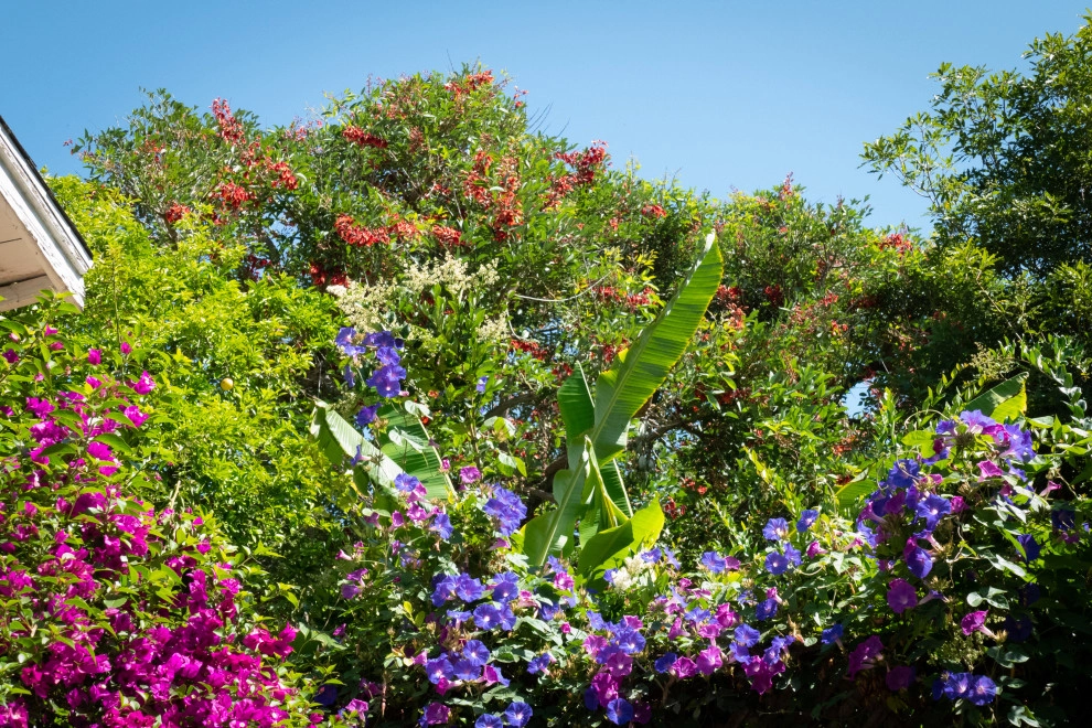 Willetta Ave. by Sweet Smiling Landscapes - Photo 3