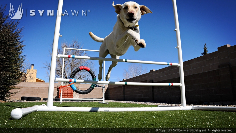 SYNLawn Oklahoma - Photo 14