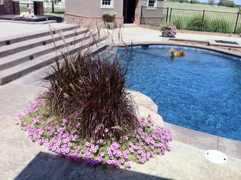 Prairie Poolside by Szafranski Landscape Architecture - Photo 4