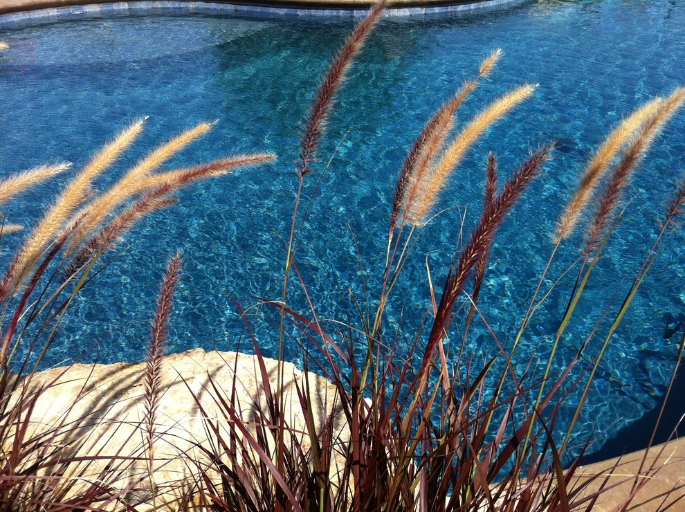 Prairie Poolside by Szafranski Landscape Architecture - Photo 7